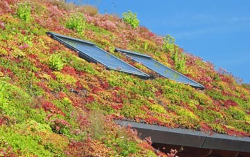 Yealmpton living roof systems