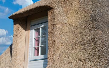 Yealmpton thatch roof disadvantages